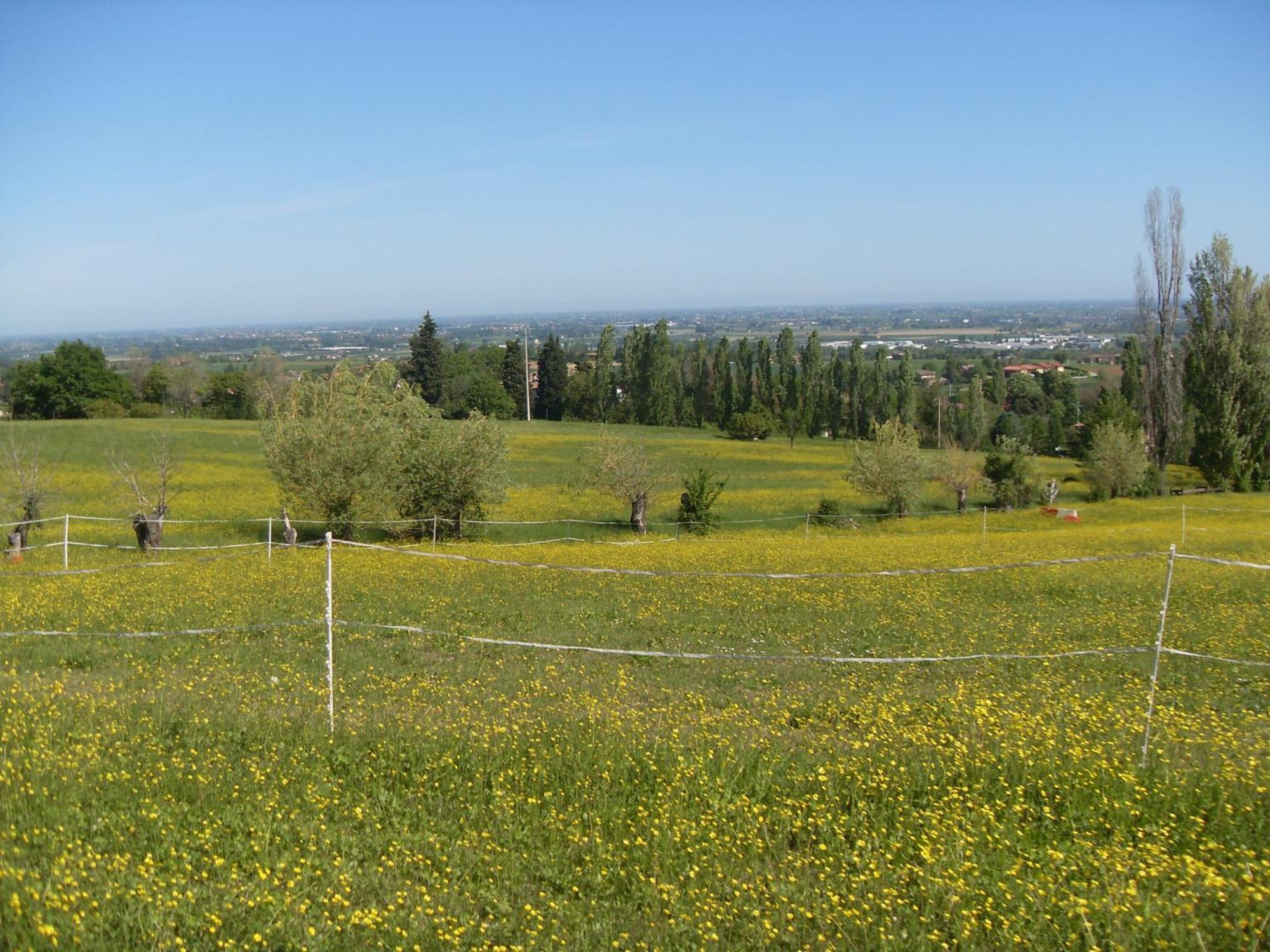 Agriturismo Montevecchio Isolani Monte San Pietro Экстерьер фото