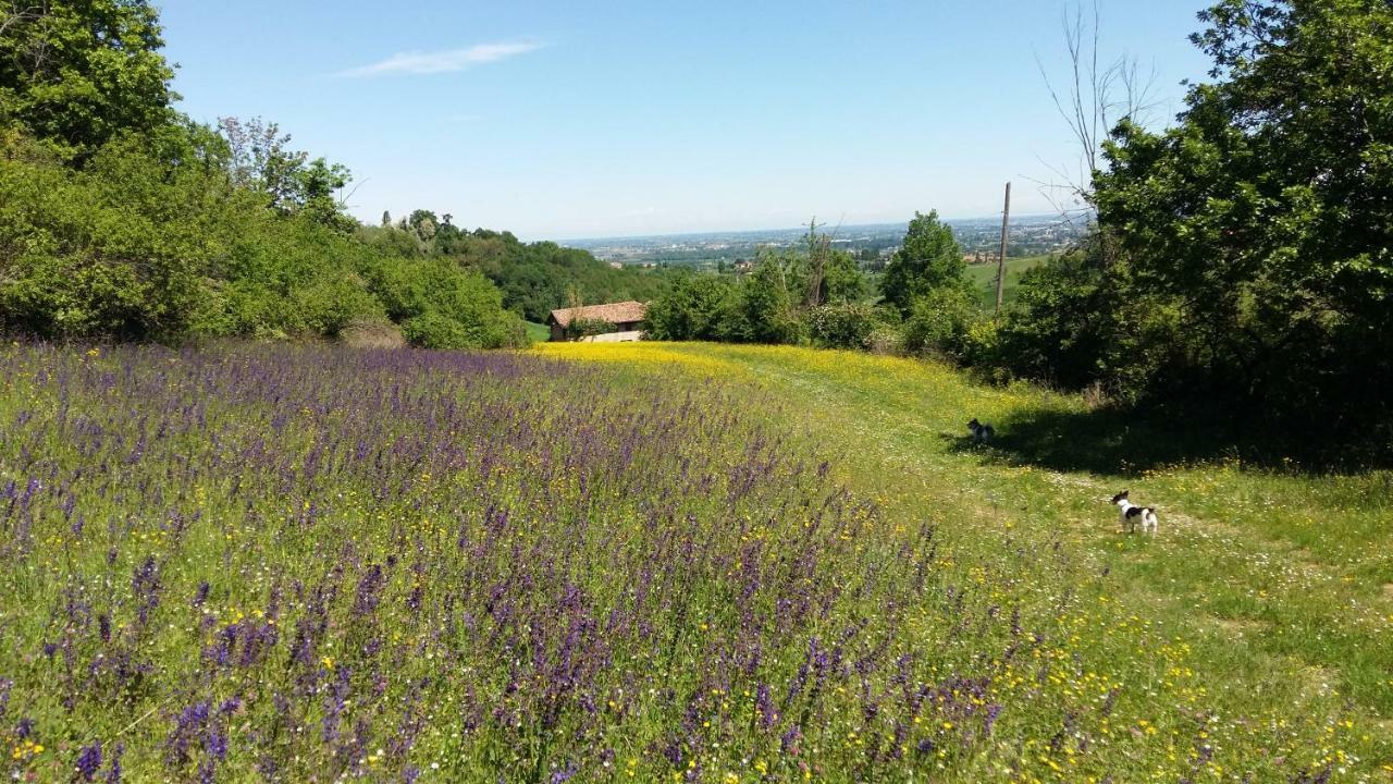 Agriturismo Montevecchio Isolani Monte San Pietro Экстерьер фото