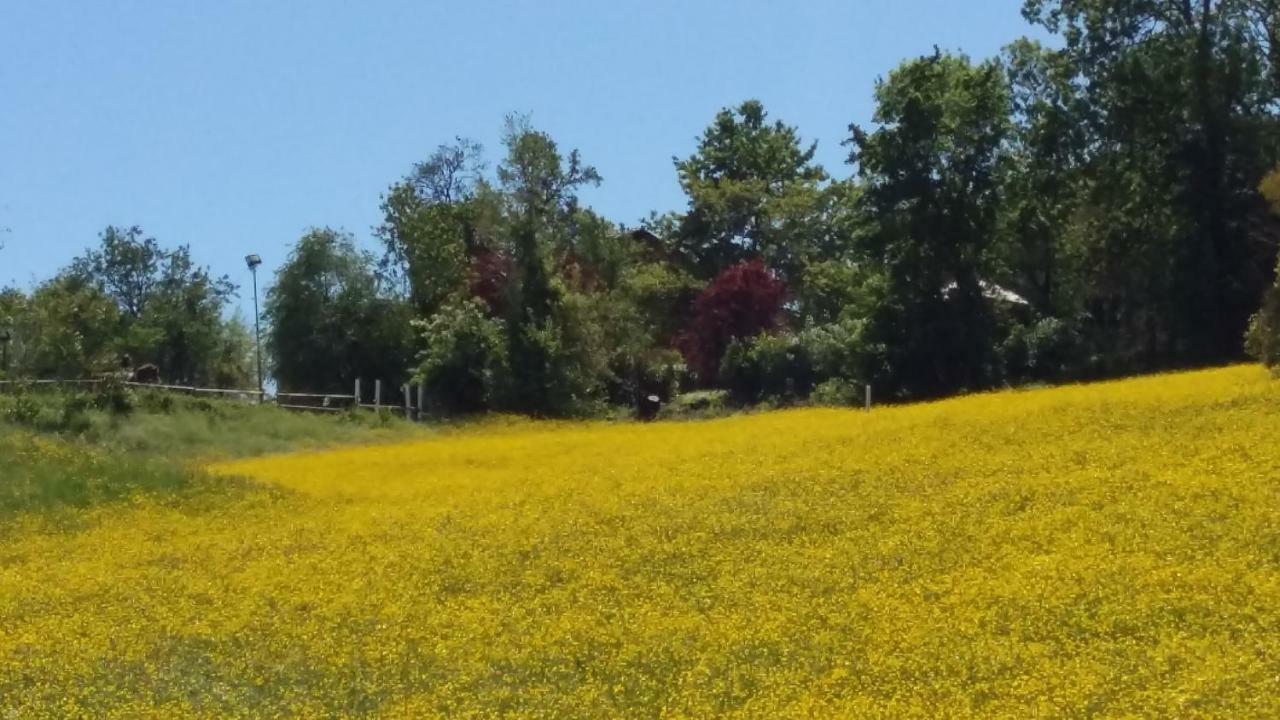Agriturismo Montevecchio Isolani Monte San Pietro Экстерьер фото